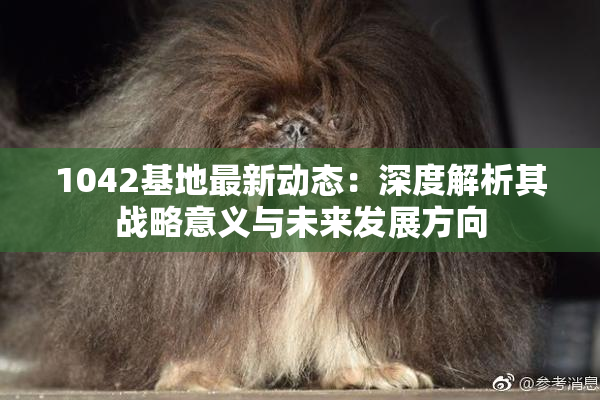 1042基地最新动态：深度解析其战略意义与未来发展方向