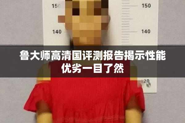 鲁大师高清国评测报告揭示性能优劣一目了然