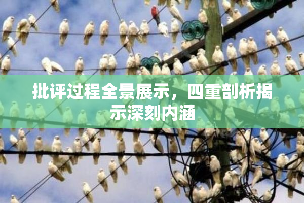批评过程全景展示，四重剖析揭示深刻内涵