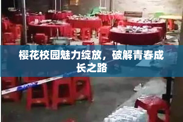 樱花校园魅力绽放，破解青春成长之路