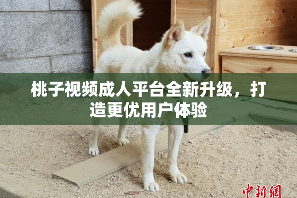 桃子视频成人平台全新升级，打造更优用户体验
