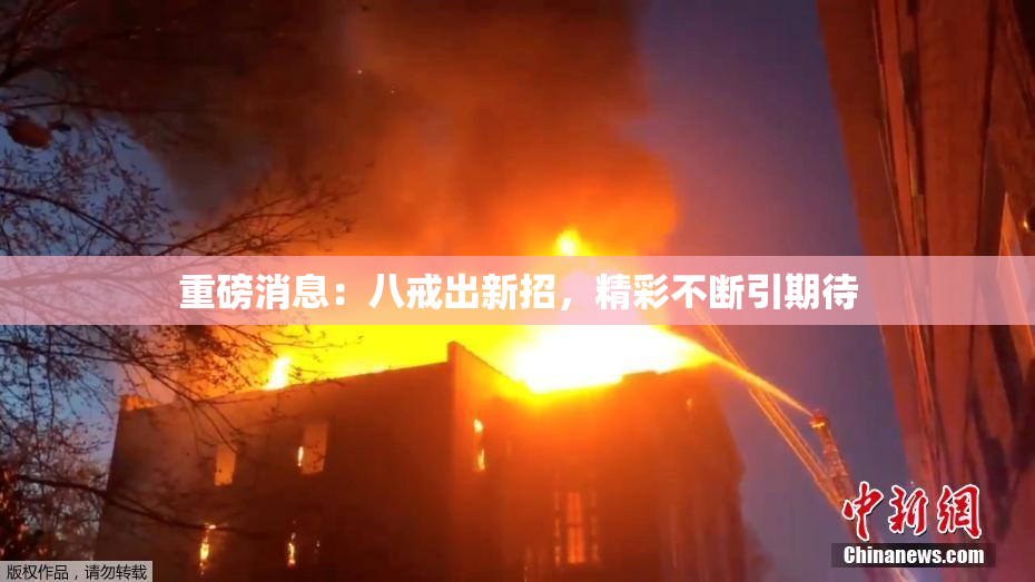 重磅消息：八戒出新招，精彩不断引期待