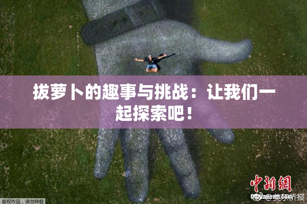 拔萝卜的趣事与挑战：让我们一起探索吧！