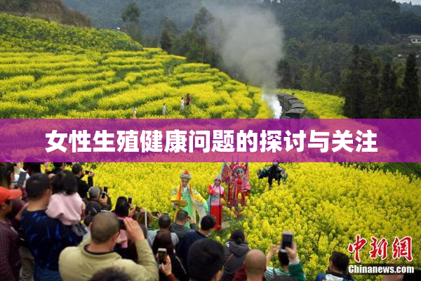 女性生殖健康问题的探讨与关注