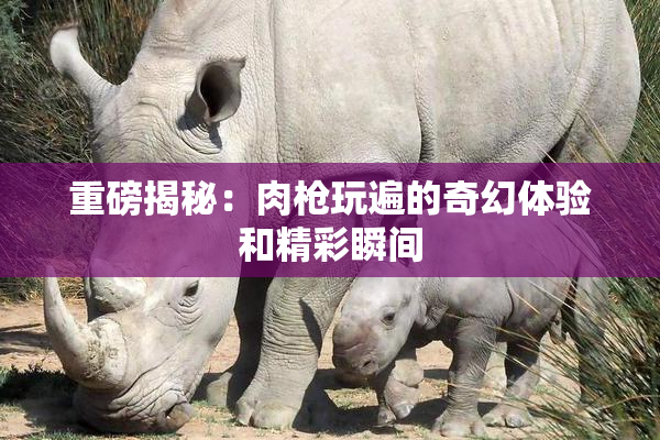 重磅揭秘：肉枪玩遍的奇幻体验和精彩瞬间