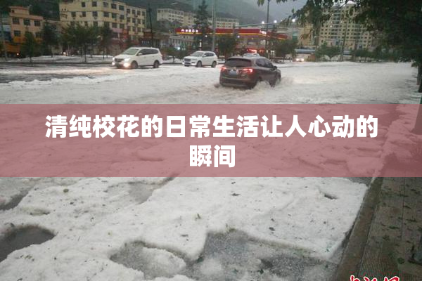 清纯校花的日常生活让人心动的瞬间