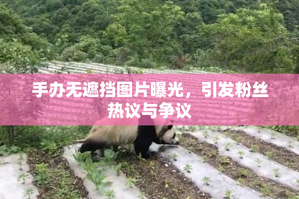 手办无遮挡图片曝光，引发粉丝热议与争议