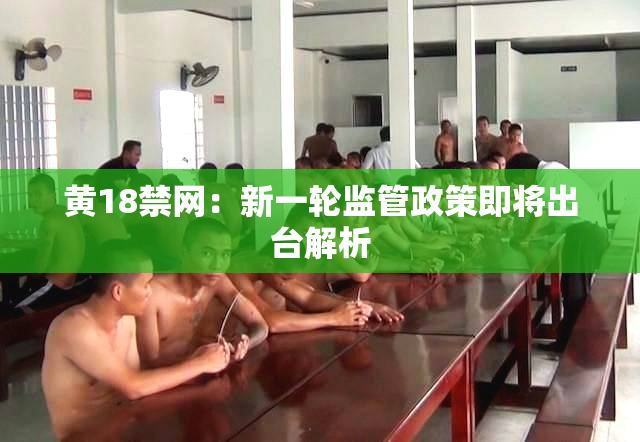 黄18禁网：新一轮监管政策即将出台解析
