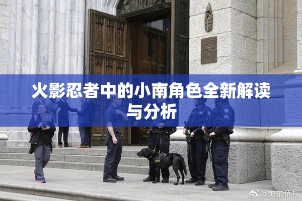火影忍者中的小南角色全新解读与分析
