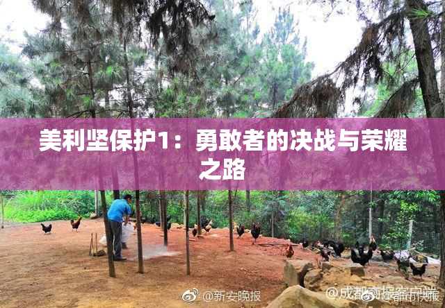 美利坚保护1：勇敢者的决战与荣耀之路