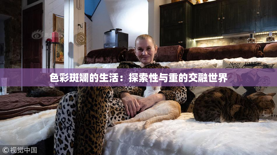 色彩斑斓的生活：探索性与重的交融世界