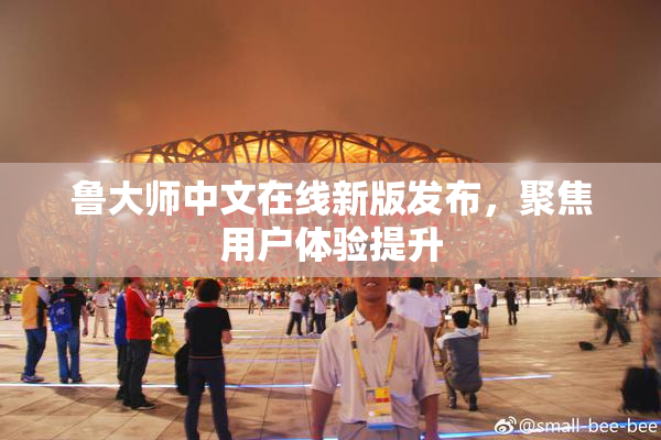 鲁大师中文在线新版发布，聚焦用户体验提升
