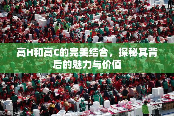 高H和高C的完美结合，探秘其背后的魅力与价值