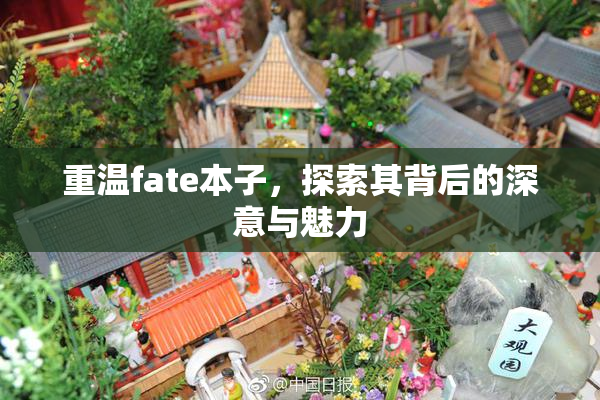 重温fate本子，探索其背后的深意与魅力