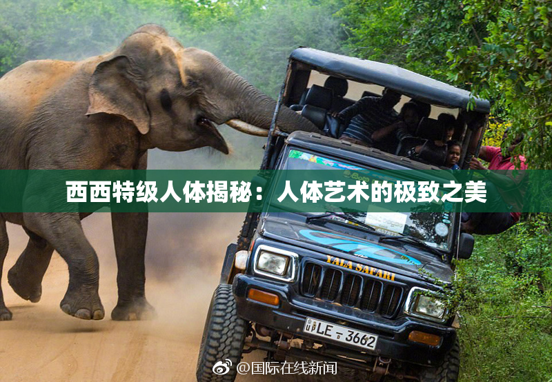 西西特级人体揭秘：人体艺术的极致之美