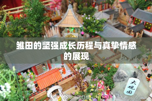雏田的坚强成长历程与真挚情感的展现
