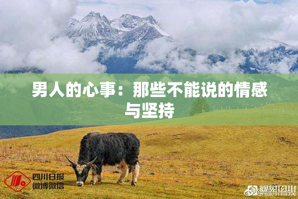 男人的心事：那些不能说的情感与坚持