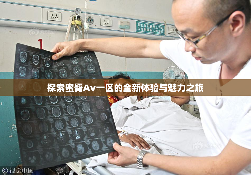 探索蜜臀Av一区的全新体验与魅力之旅