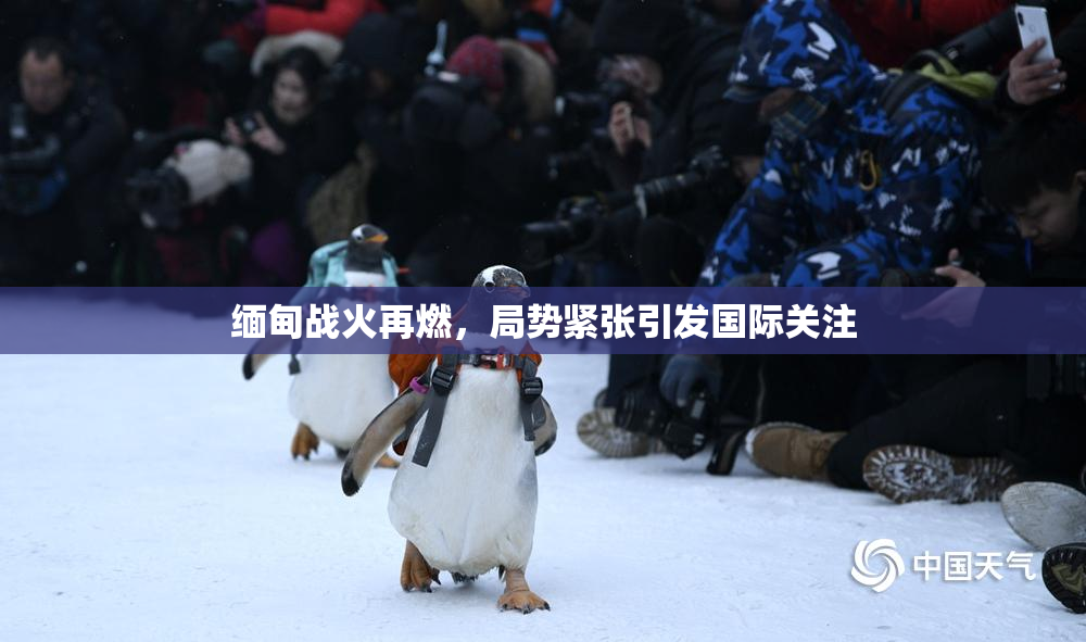 缅甸战火再燃，局势紧张引发国际关注