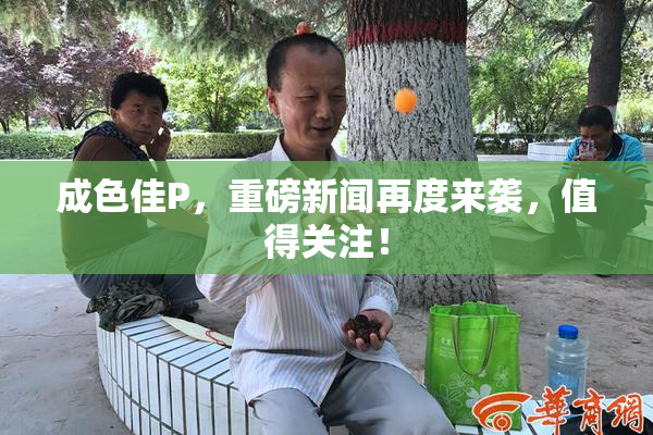 成色佳P，重磅新闻再度来袭，值得关注！
