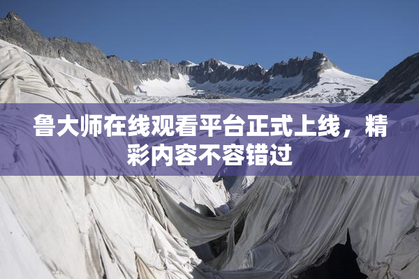 鲁大师在线观看平台正式上线，精彩内容不容错过