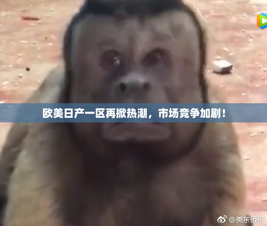 欧美日产一区再掀热潮，市场竞争加剧！