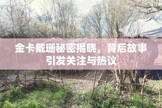 金卡戴珊秘密揭晓，背后故事引发关注与热议