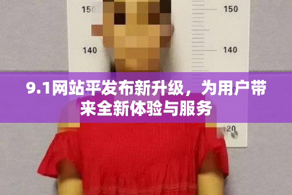 9.1网站平发布新升级，为用户带来全新体验与服务