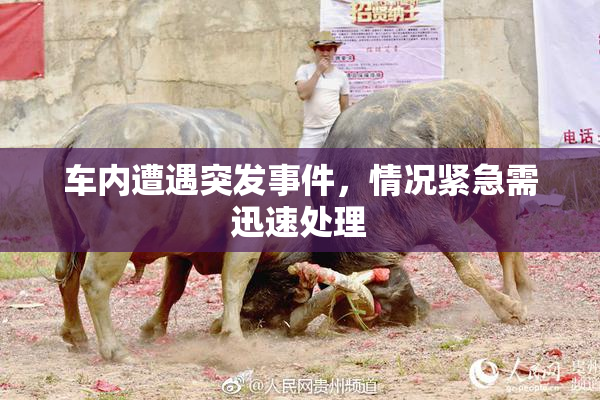 车内遭遇突发事件，情况紧急需迅速处理