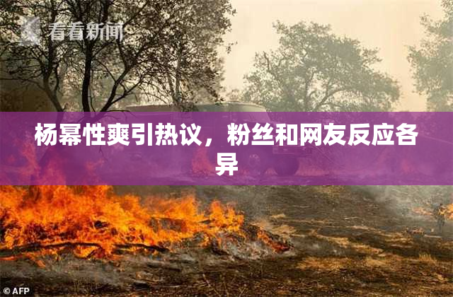 杨幂性爽引热议，粉丝和网友反应各异