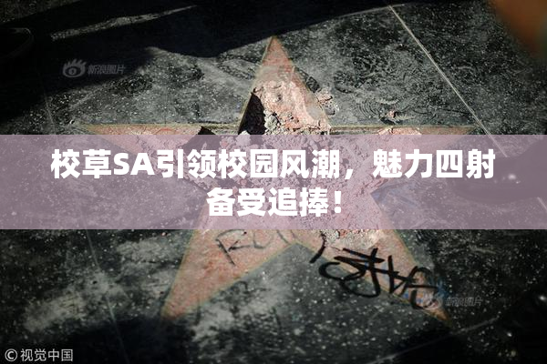 校草SA引领校园风潮，魅力四射备受追捧！