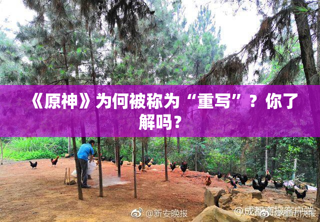 《原神》为何被称为“重写”？你了解吗？