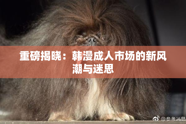 重磅揭晓：韩漫成人市场的新风潮与迷思