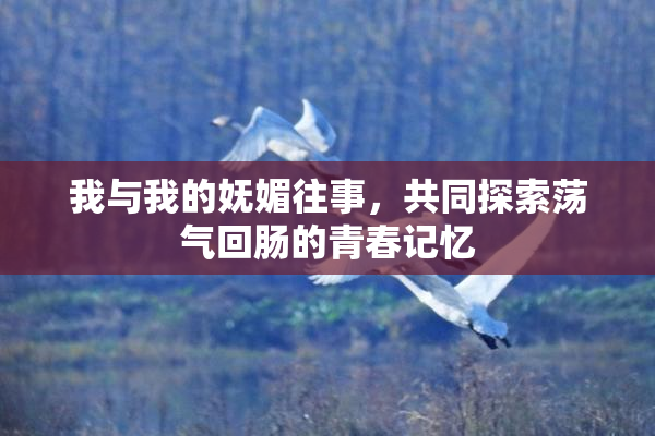 我与我的妩媚往事，共同探索荡气回肠的青春记忆