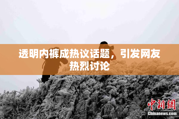 透明内裤成热议话题，引发网友热烈讨论