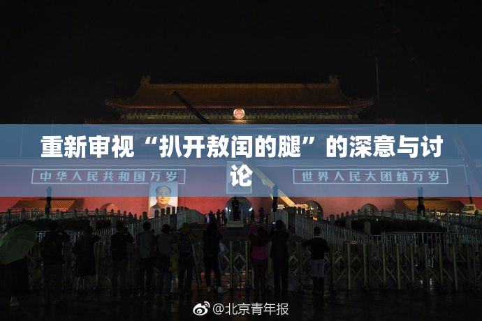 重新审视“扒开敖闰的腿”的深意与讨论
