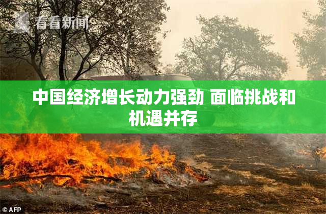 中国经济增长动力强劲 面临挑战和机遇并存