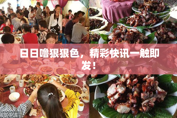 日日噜狠狠色，精彩快讯一触即发！