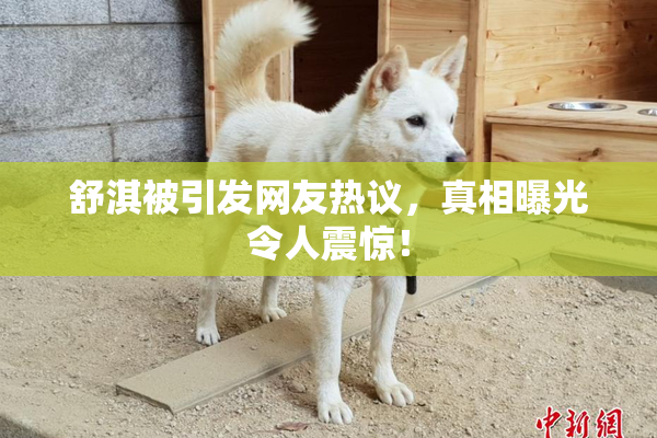 舒淇被引发网友热议，真相曝光令人震惊！