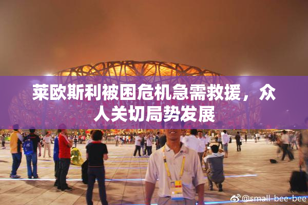莱欧斯利被困危机急需救援，众人关切局势发展