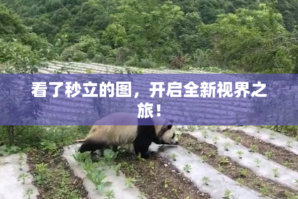 看了秒立的图，开启全新视界之旅！