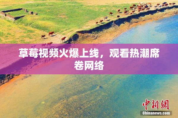草莓视频火爆上线，观看热潮席卷网络