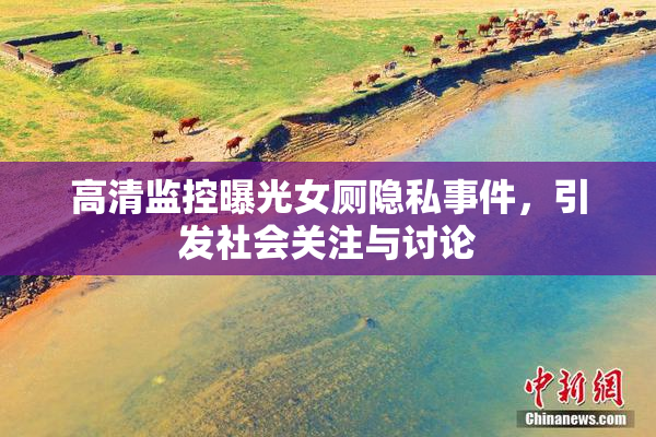 高清监控曝光女厕隐私事件，引发社会关注与讨论
