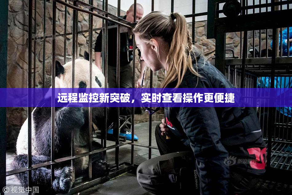 远程监控新突破，实时查看操作更便捷