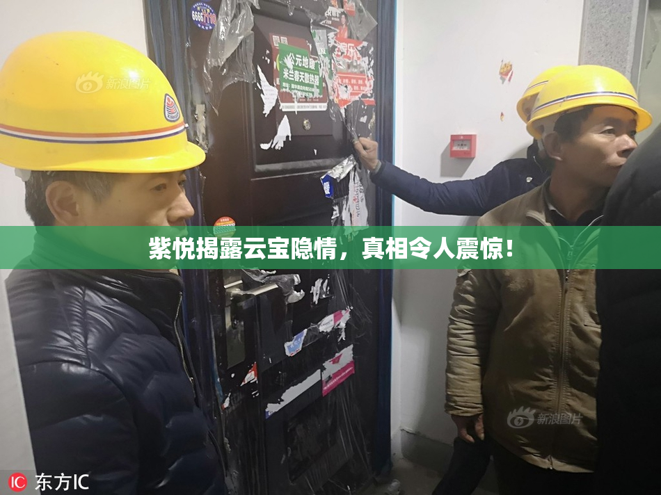 紫悦揭露云宝隐情，真相令人震惊！