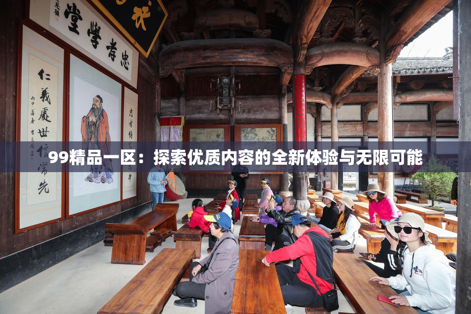 99精品一区：探索优质内容的全新体验与无限可能