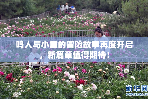 鸣人与小重的冒险故事再度开启，新篇章值得期待！