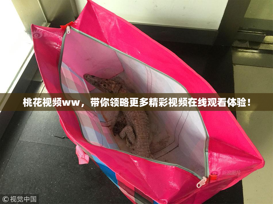 桃花视频ww，带你领略更多精彩视频在线观看体验！