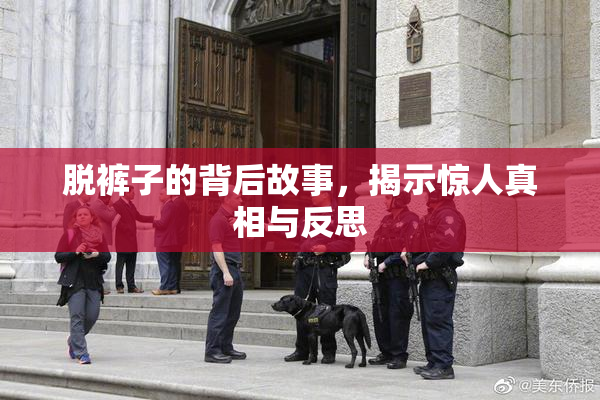 脱裤子的背后故事，揭示惊人真相与反思
