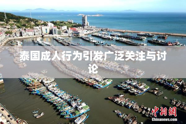 泰国成人行为引发广泛关注与讨论